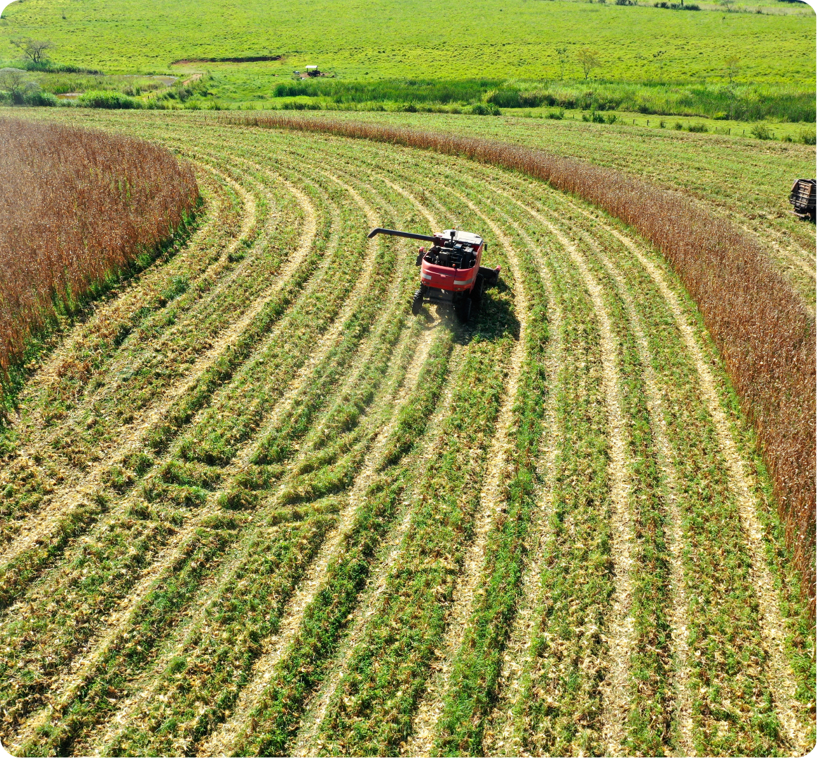 Agroindustria